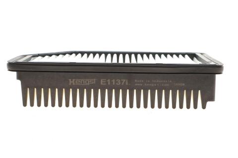 E1137L     (HENGST)