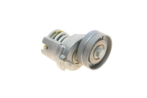 Натяжник ременя генератора VW Caddy III/Golf V-VI/Passat B6/B7 1.2-1.6 02- (64x24)