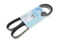 Ремінь генератора Fiat Ducato/ Citroen Jumper 1.9D/TD 94-/ Renault Trafic 2.5dCI 03-