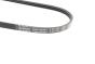 Ремінь генератора Renault Kangoo/Clio II 1.2 01-/Dacia Logan/Sandero 1.2 16V 06- (3PK750), фото 3 - интернет-магазин Auto-Mechanic