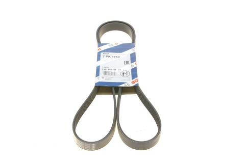Ремінь генератора BMW 7 (E65/E66/E67) 4.0/4.5D 02-08/Honda Accord 2.0 03-08 (7PK1760) Ремінь генератора BMW 7 (E65/E66/E67) 4.0/4.5D 02-08/Honda Accord 2.0 03-08 (7PK1760)