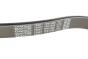 Ремінь генератора Renault Master/Opel Movano 3.0 DCI 03-, фото 4 - интернет-магазин Auto-Mechanic
