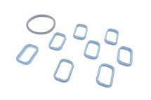 Комплект прокладок колектора впускного Ford Transit 2.0/2.4 DI 00-06