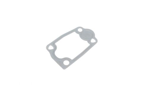 Прокладка термостата Citroen Jumper/Peugeot Boxer 3.0 HDi 06-