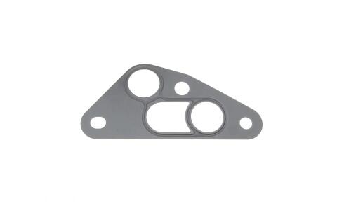 Прокладка радіатора оливного Peugeot Boxer/Fiat Ducato/Citroen Jumper 2.2HDI 06-
