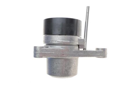 Натяжник ремня генератора Citroen C2/C3/C4/Peugeot 207/307 1.1-1.6 00-