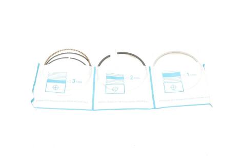 Поршень Renault Kangoo 1.6 08- (STD)