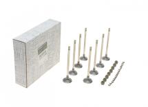 Клапан (впуск) Renault Master 2.2/2.5 dTi/dCi 00- (8 шт)