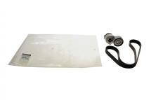 Комплект ременя генератора Renault Megane 1.9dCi/2.0 16V/2.0RS 96- (ремінь + натяжник)