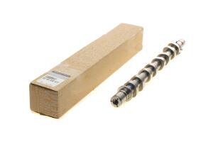 Розподільний вал Renault Clio/Laguna/Megane 1.6 16V 06- (впуск)