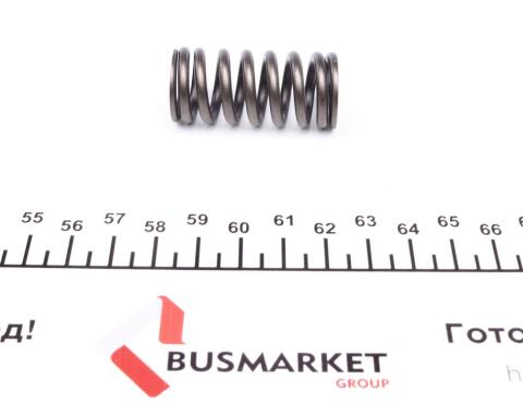 Пружина клапана Renault Kangoo/Logan