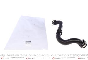 Патрубок інтеркулера Renault Megane II/Scenic II 1.9 DCI 02-
