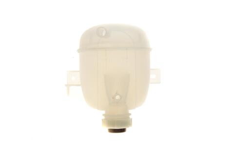 Бачок розширювальний Renault Kangoo 97- (з кришкою)