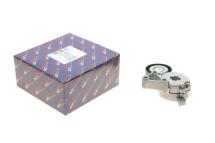 Натяжник ременя генератора VW T5 2.0 03-/Caddy III 1.6/2.0 BiFuel/EcoFuel 04-15 (70x24) Натяжник ременя генератора VW T5 2.0 03-/Caddy III 1.6/2.0 BiFuel/EcoFuel 04-15 (70x24)