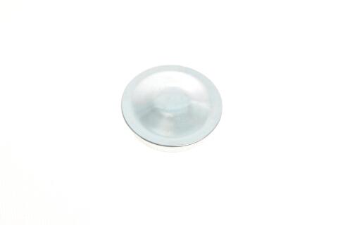 Диск гальмівний (задній) Renault Scenic III 2.0dCi 09- (290х11) (+ABS) (з підшипником)