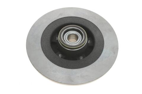 Диск гальмівний (задній) Renault Scenic III 2.0dCi 09- (290х11) (+ABS) (з підшипником)