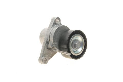 Натяжник ремня генератора Citroen C2/C3/C4/Peugeot 207/307 1.1-1.6 00-