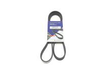 Ремінь генератора Ford Focus 1.8/2.0i 03-12 Ремінь генератора Ford Focus 1.8/2.0i 03-12