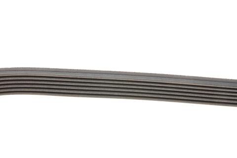 Ремінь генератора Audi A4 1.6-2.0 00-08 (6PK1570) Ремінь генератора Audi A4 1.6-2.0 00-08 (6PK1570)