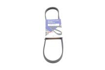 Ремінь генератора BMW 1 (E87)/3 (E90) 04-11 (M47) (4PK810) Ремінь генератора BMW 1 (E87)/3 (E90) 04-11 (M47) (4PK810)