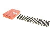 Болти головки (к-кт 25шт.) MB 814D (OM366)