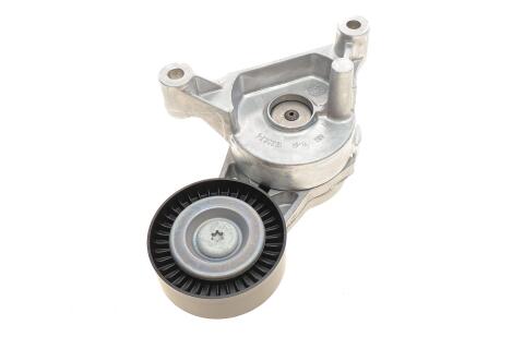 Натяжник ременя генератора VW Caddy 1.9TDI/2.0SDI, 04-10 (70x25)