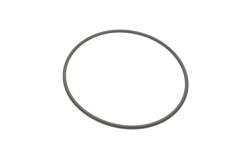 Прокладка насоса воды Opel Astra F/Vectra A/B 1.8/1.7-2.0D 91-05