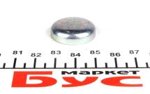 Заглушка блоку циліндрів VW Caddy/T4/T5/LT/Crafter (d=24)