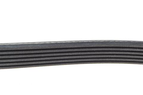 Ремінь генератора VW T5 1.9TDI/VW Caddy III 1.9/2.0TDI (+AC) Ремінь генератора VW T5 1.9TDI/VW Caddy III 1.9/2.0TDI (+AC)