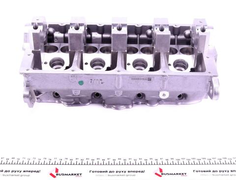 Головка блоку циліндрів VW T5 1.9TDI/Caddy 1.9TDI/2.0SDI 03- Головка блоку циліндрів VW T5 1.9TDI/Caddy 1.9TDI/2.0SDI 03-