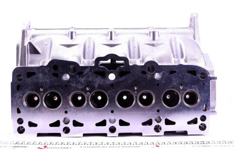 Головка блоку циліндрів VW T5 1.9TDI/Caddy 1.9TDI/2.0SDI 03- Головка блоку циліндрів VW T5 1.9TDI/Caddy 1.9TDI/2.0SDI 03-