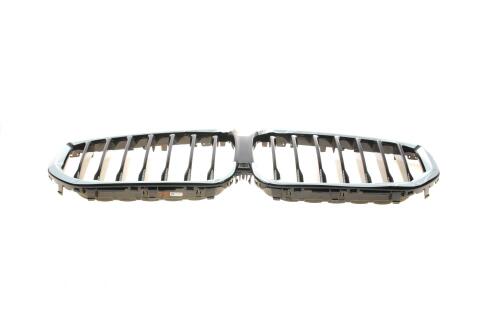 Решетка радиатора BMW X5 (G05) 18- Решетка радиатора BMW X5 (G05) 18-