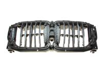 Решітка радіатора BMW X5 (G05/F95) 18-