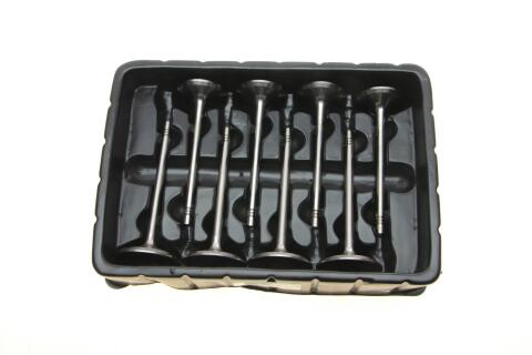 Клапан (впуск/выпуск) VW Caddy III/Golf/Passat 1.6 04-15 (к-кт 8шт.) (OE VAG) Клапан (впуск/выпуск) VW Caddy III/Golf/Passat 1.6 04-15 (к-кт 8шт.) (OE VAG)