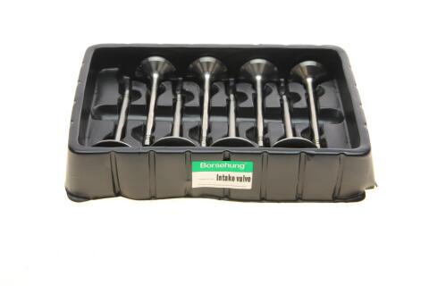 Клапан (впуск/выпуск) VW Caddy III/Golf/Passat 1.6 04-15 (к-кт 8шт.) (OE VAG) Клапан (впуск/выпуск) VW Caddy III/Golf/Passat 1.6 04-15 (к-кт 8шт.) (OE VAG)