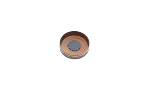 Натяжник ланцюга ГРМ MB Sprinter 906 08- (M 271.951) Натяжник ланцюга ГРМ MB Sprinter 906 08- (M 271.951)