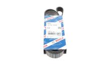 Ремінь генератора MB Atego 2/Axor 2 (OM926/OM924/OM902) 04- (8PK1920)