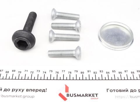 Підшипник маточини (передньої) Audi A6 04-11 (+ABS)