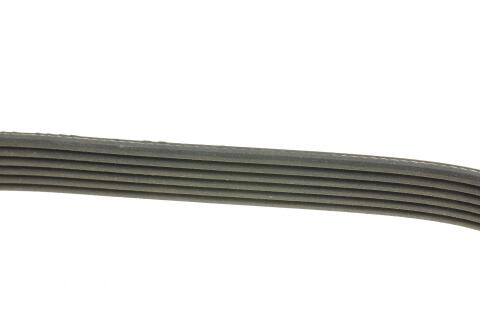 Ремінь генератора VW T4/Citroen Bipper 1.4HDI/2.4D/2.5 96-