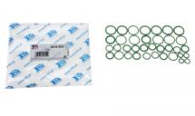 Прокладка компресора кондиціонера ущільнююча Renault Trafic III 14- (К-кт)