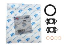 Комплект прокладок турбіни Ford Transit Connect 1.8 TDCi 06-13