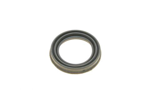 Ремкомплект супорта (заднього) Chrysler Aspen 06-09 (d=54mm) (+поршень/направляюча) SuperKit