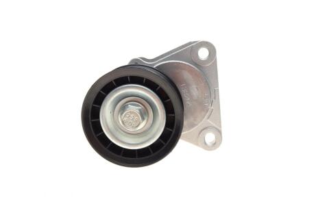 Натяжник ременя генератора Ford Mondeo 00-15 Натяжник ременя генератора Ford Mondeo 00-15