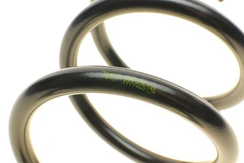 Пружина (задня) Chery Tiggo 1.6/2.4 05-10 (SUV)