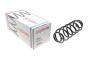 Пружина (задня) VW Fox 1.2/1.4/1.4TDI 05-11 (хетчбек), фото 1 - интернет-магазин Auto-Mechanic