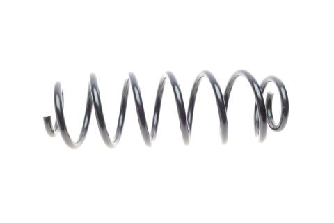 Пружина (задня) VW Fox 1.2/1.4/1.4TDI 05-11 (хетчбек)