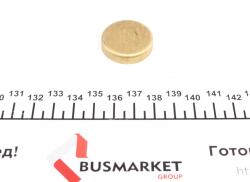 Заглушка блока цилиндров (d=28,6mm) Латунь/Brass