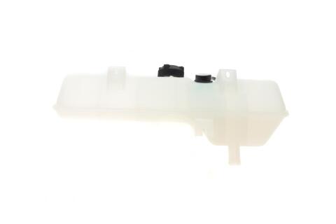Бачок розширювальний Citroen Jumper/Peugeot Boxer 94- (з кришкою)