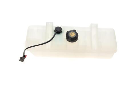 Бачок розширювальний Citroen Jumper/Peugeot Boxer 94- (з кришкою)