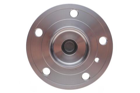 Подшипник ступицы (задней) MB A-class (W169)/B-class (W245) 04-12